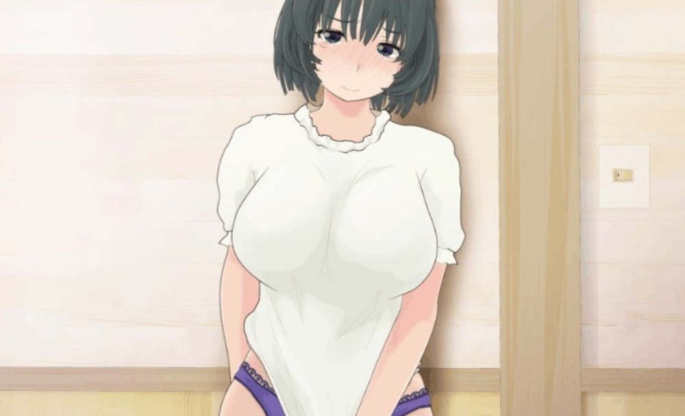 《NTR的小镇 V1.0(1G手机安卓apk)》预览图